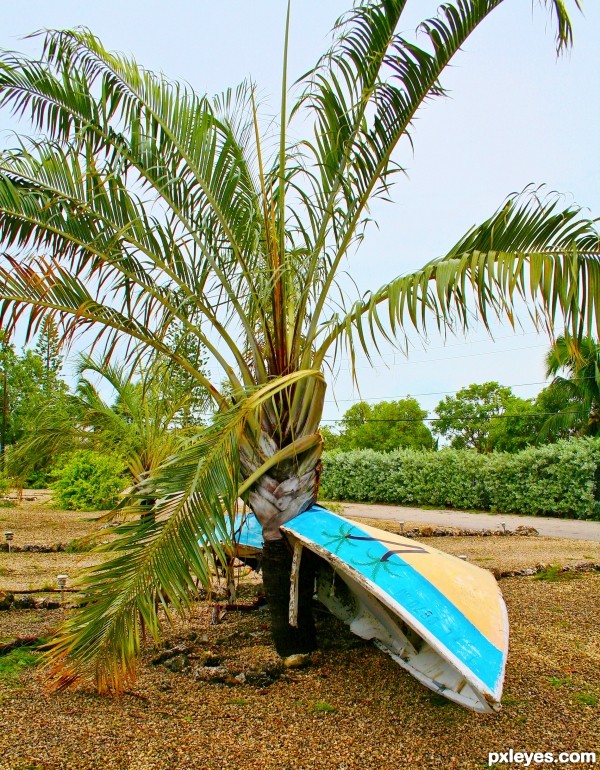 Hurricane Ike hits the Keys..